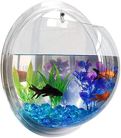 Luxurious aquarium of acrylic is fixed on the wall