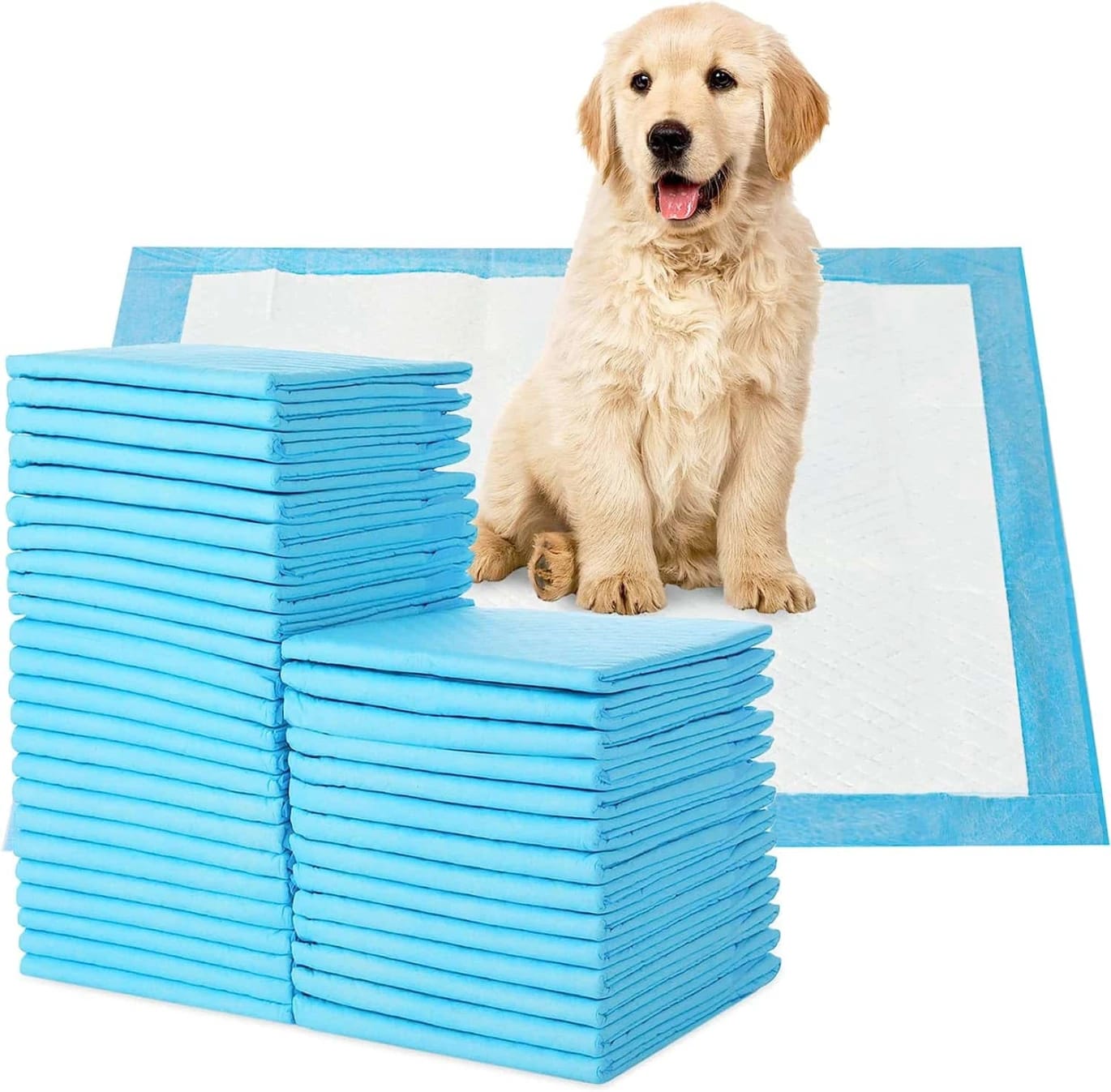 Bad pillows to train pets on the toilet