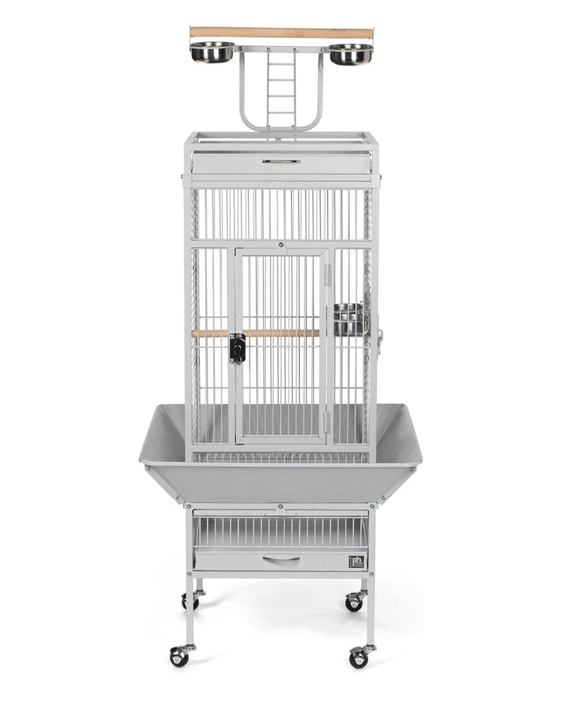 Bird cage for large prostitutes made of stainless iron