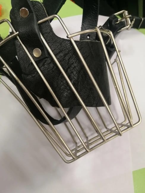 Iron