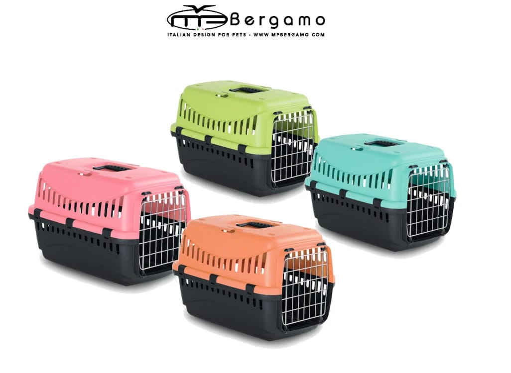Box transport for cats small size