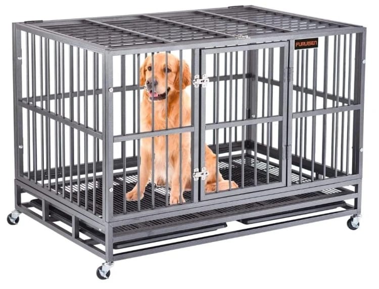 A very tolerant dog, a strong metal cage for the pet home on lock wheels, a large steel cage with locks that prevent escaping for medium and large dogs in closed and outer places