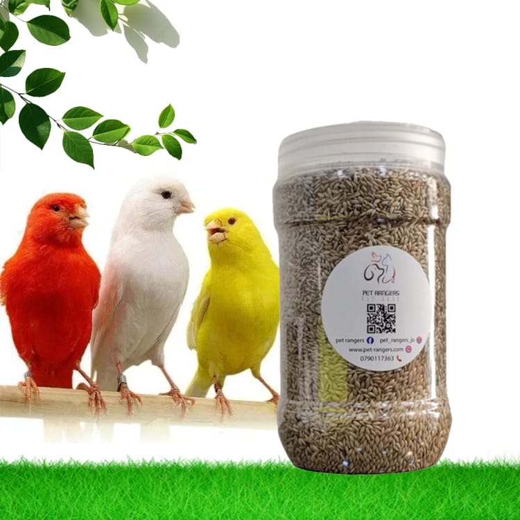 Canary eating pills 800 grams