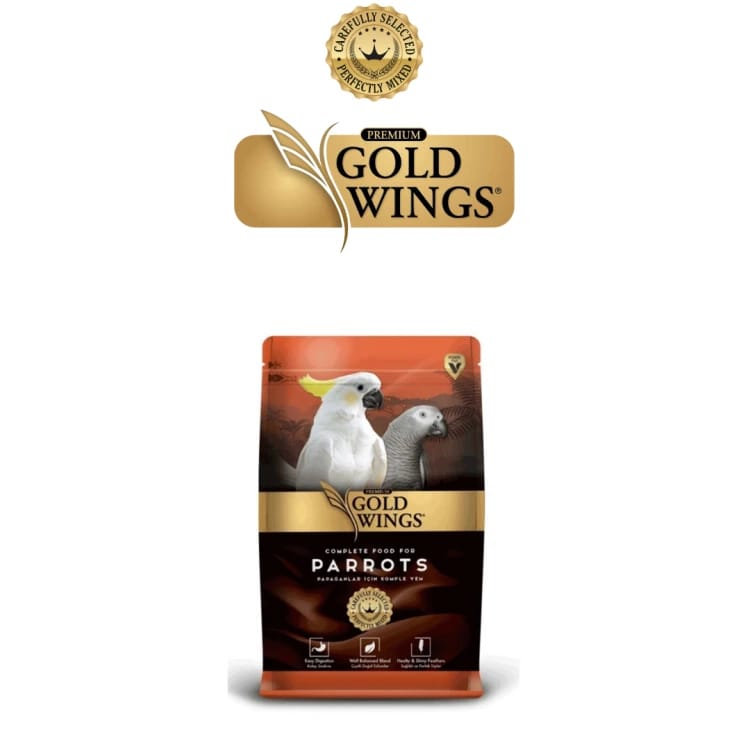 Golden wing for prostitution