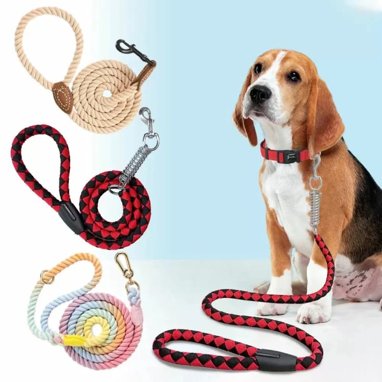 A preposition, a tight belt for dogs