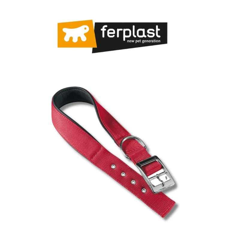 Verblast Dietona, a large size dog collar