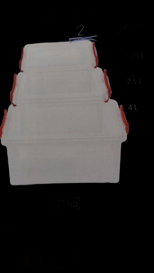 Set of 3 Stackable Plastic Food Storage Containers with Locking Lids