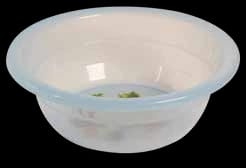 Translucent Plastic Wash Basin with Blue Rim