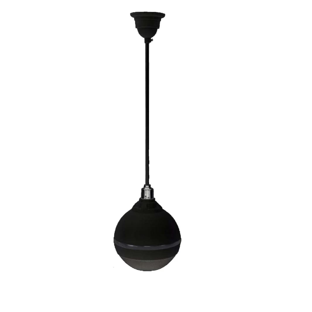 Hanging Ball DQ-101 Ceiling speaker -Black