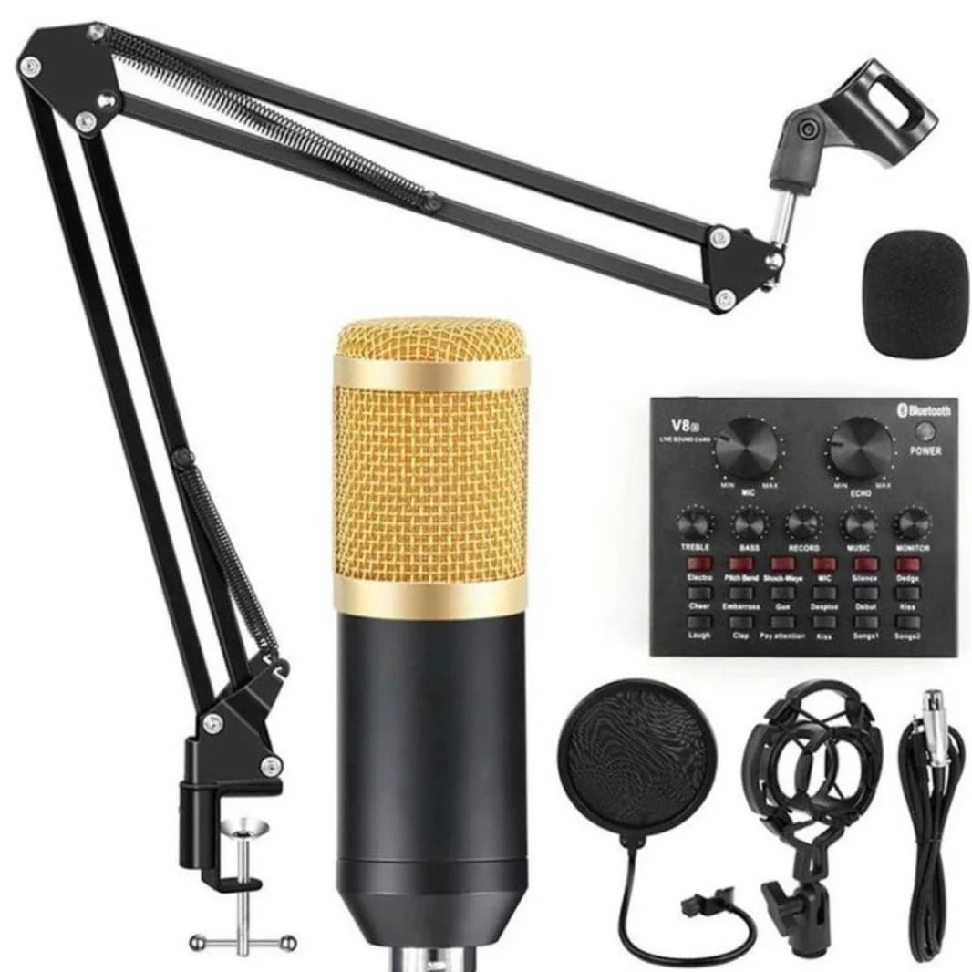 V8S Professional Condenser Microphone for Recording Studio Equipment