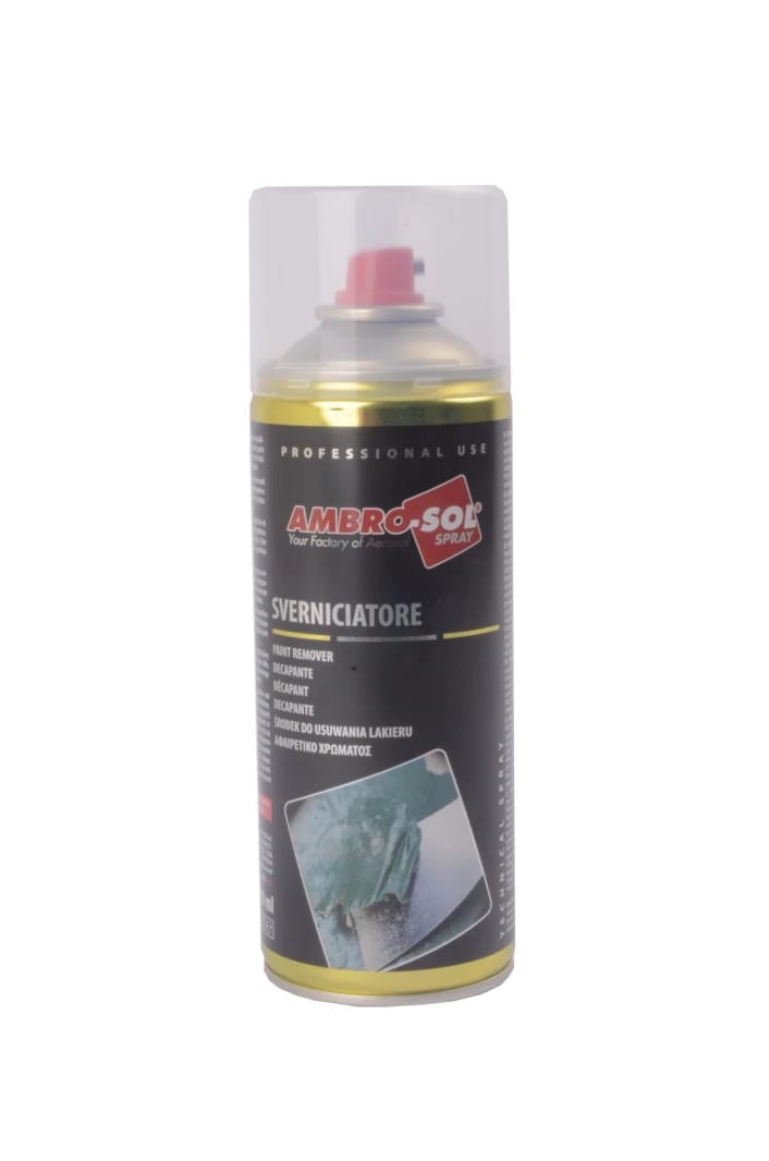 Paint Remover