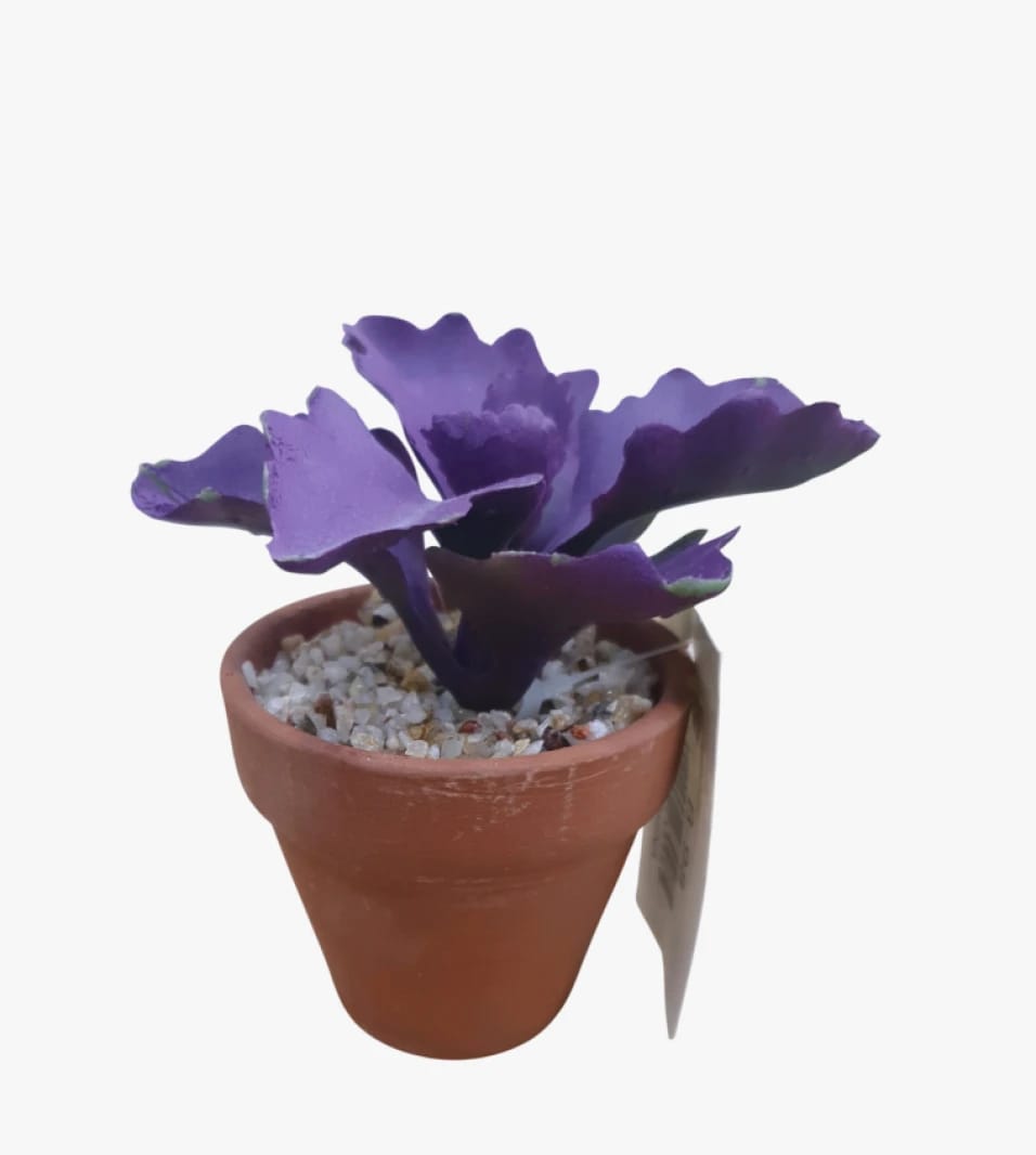 Small Clay Pot Featuring a Unique Purple Leaf Artificial Plant, Perfect for Adding a Touch of Modern Decor to Any Home or Office Space, Trendy Design for Plant Enthusiasts
