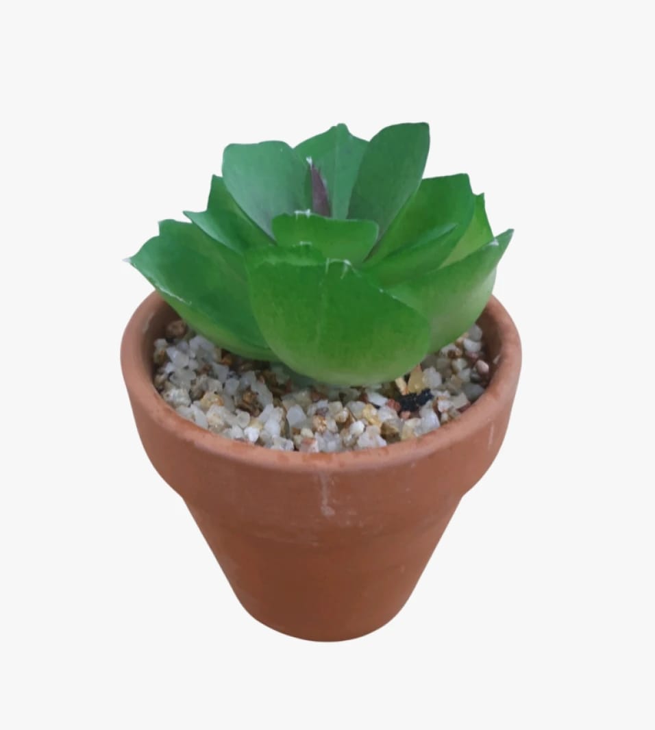 Renowned Brand Artificial Decor Plant with Modern Design for Home Decor Enthusiasts, Bringing a Touch of Beauty to Any Space, Perfect for Plant Lovers Adding Natural Ambiance to Rooms