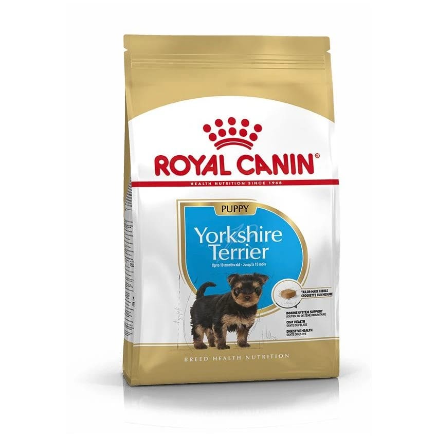 BHN YORKSHIRE PUPPY 1.5KG