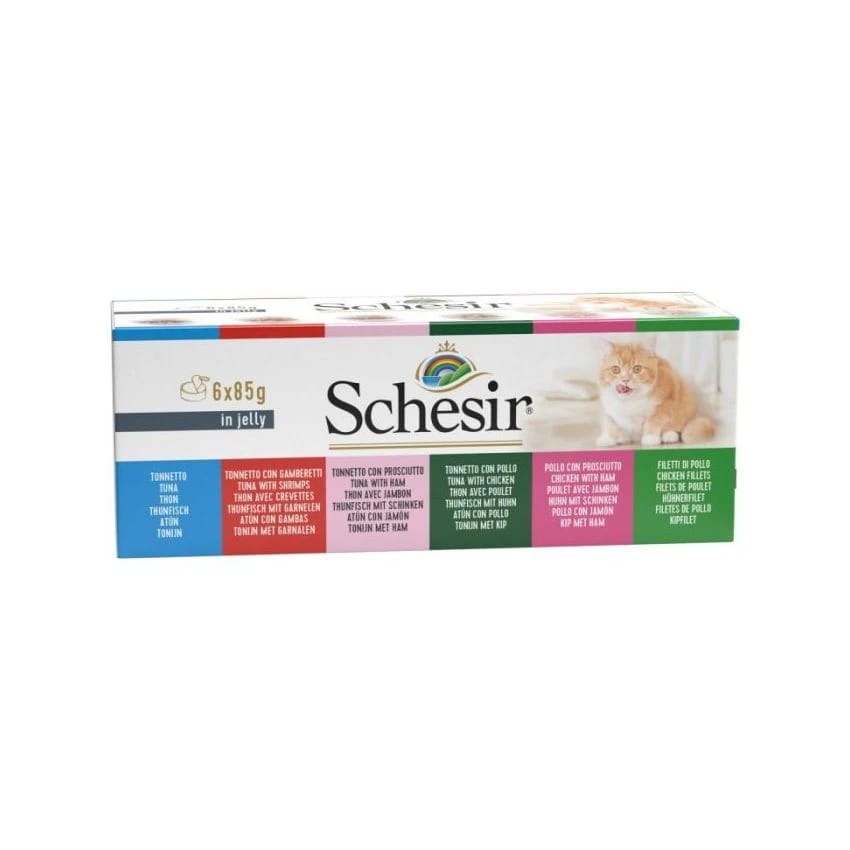 4300 SCHESIR CAT MULTI 6X85G IN JELLY