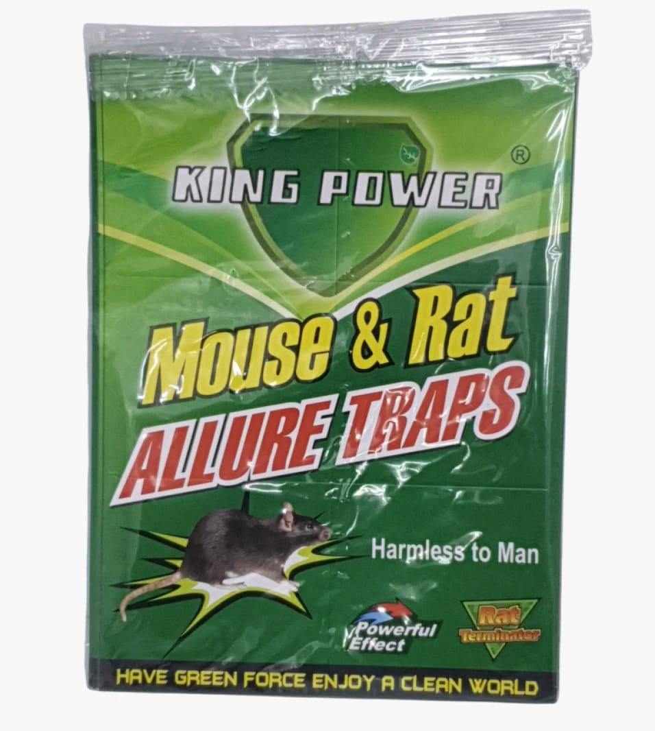 King Power Mouse & Rat Allure Traps with Eco-Friendly Pest Repellent Design for Safe Protection