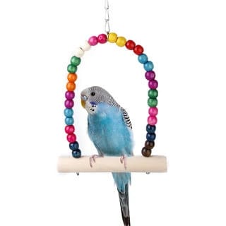Bird Swing