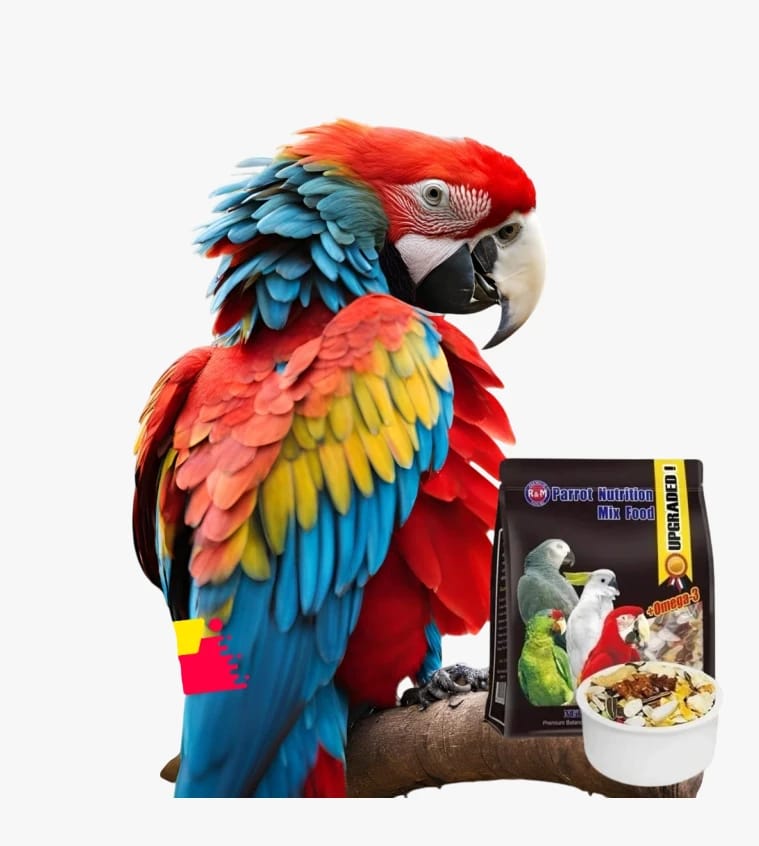 Parrot Mix with Omega