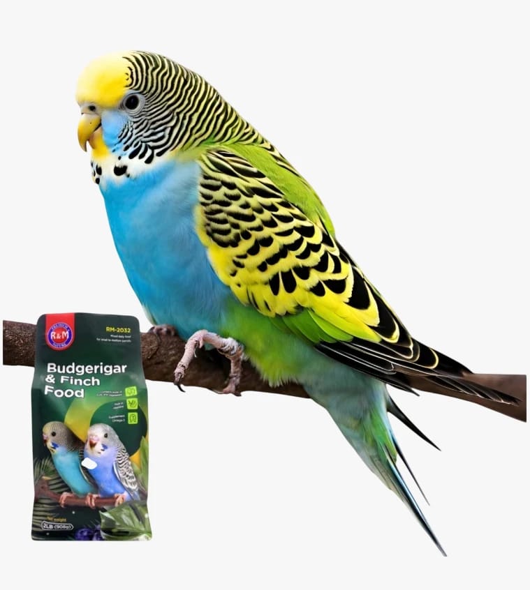 طعام لطيور الحب خلطة