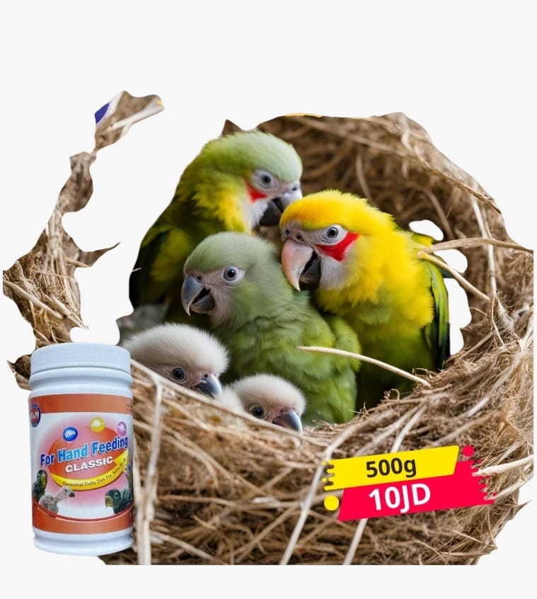 Hand-Feeding Formula for Chicks