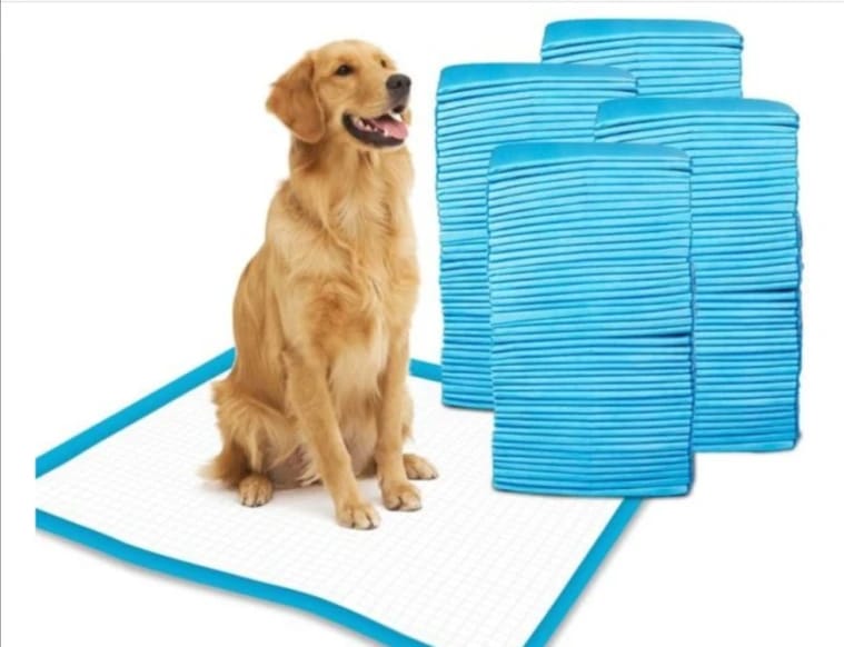 Large Pads 60x60 - 40 Count