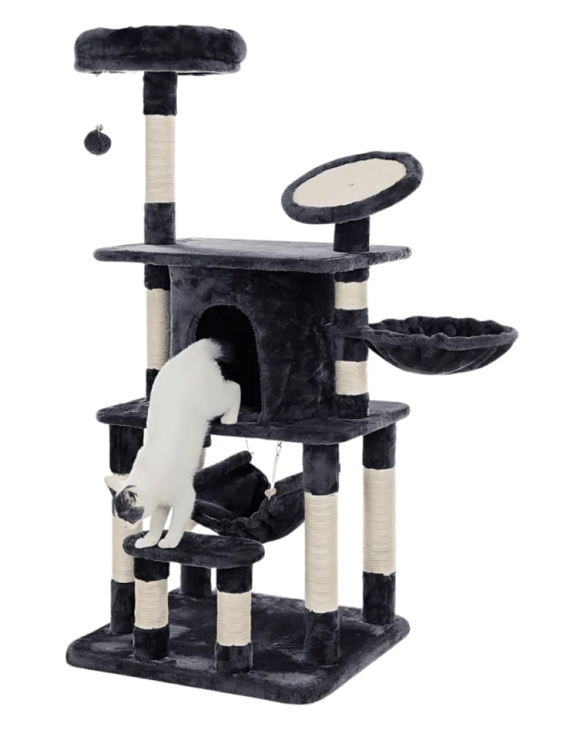 Cat Scratcher