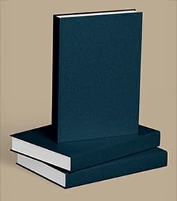 The Female Narrators by Maha Hassan