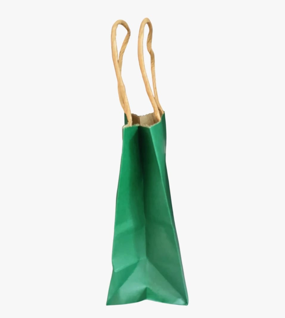High-Quality Green Paper Shopping Bag with Twisted Handles for Sustainable Eco-Friendly Use