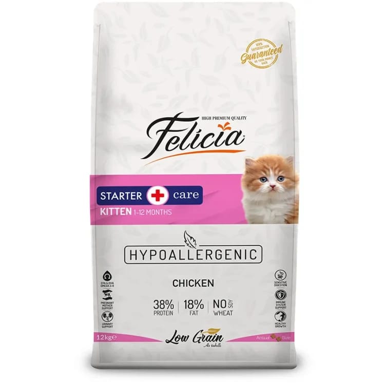 Felicia Kitten Starter Care