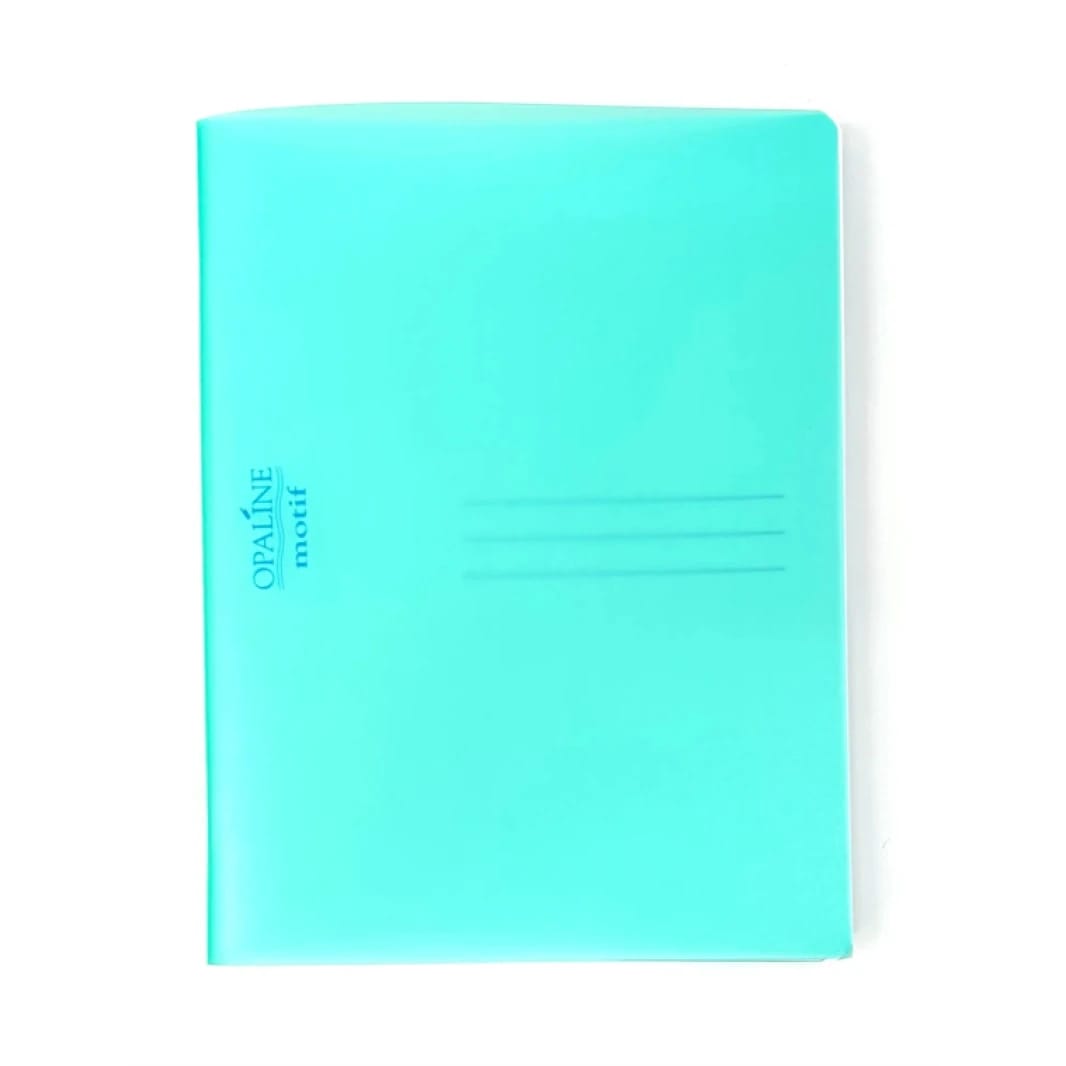NEW Bassile French School Grid Notebooks 96 Sheets - A5