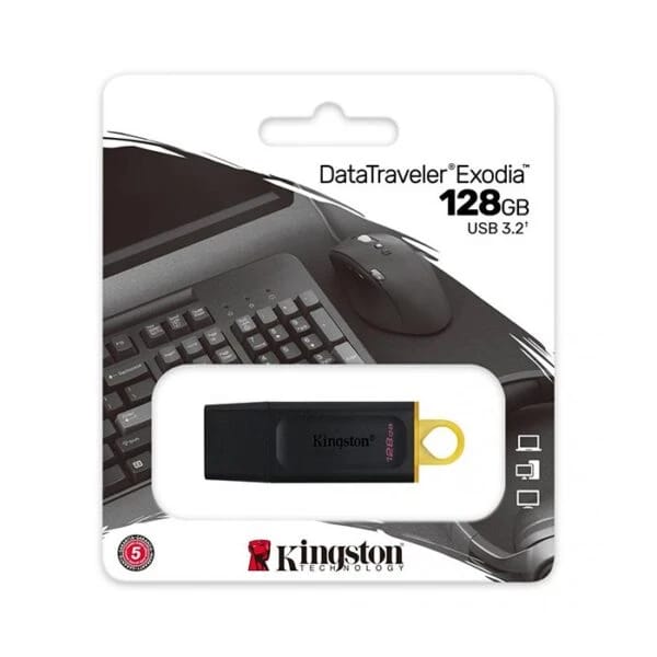 كينغستون ذاكرة فلاش 128 جيجابايت USB 3.2 DTX/128GB