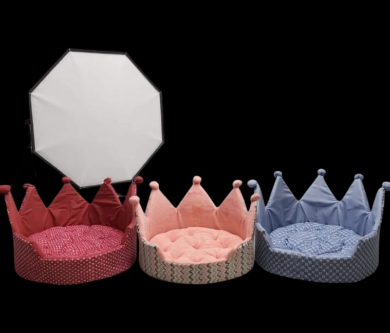 Queen and King pet bed large