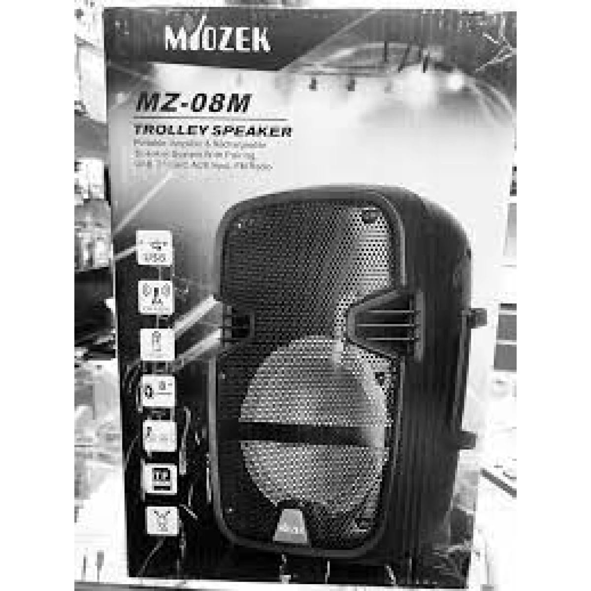 Trolley Speaker Portable Amplifier & Rechargeable Speaker System with Pairing, USB, TF Card, AUX Input, FM Radio
