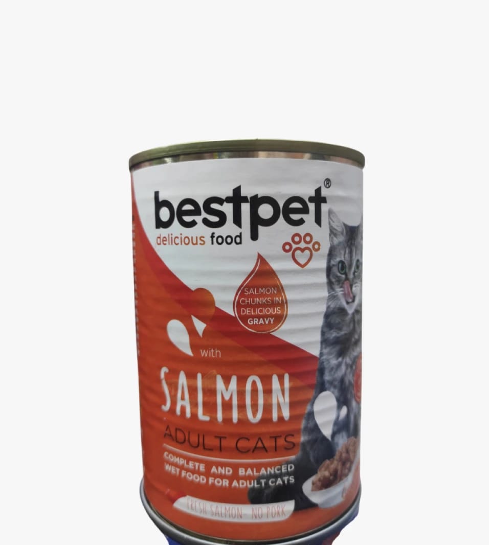 Bestpet Wet Food for Adult Cats with Delicious Salmon Chunks in Tasty Gravy