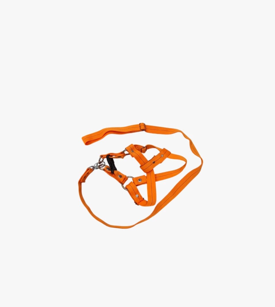High-Quality Orange Pet Harness Set with Convenient Handle for Dogs and Cats, Perfect for Walks and Outings, Brand Name