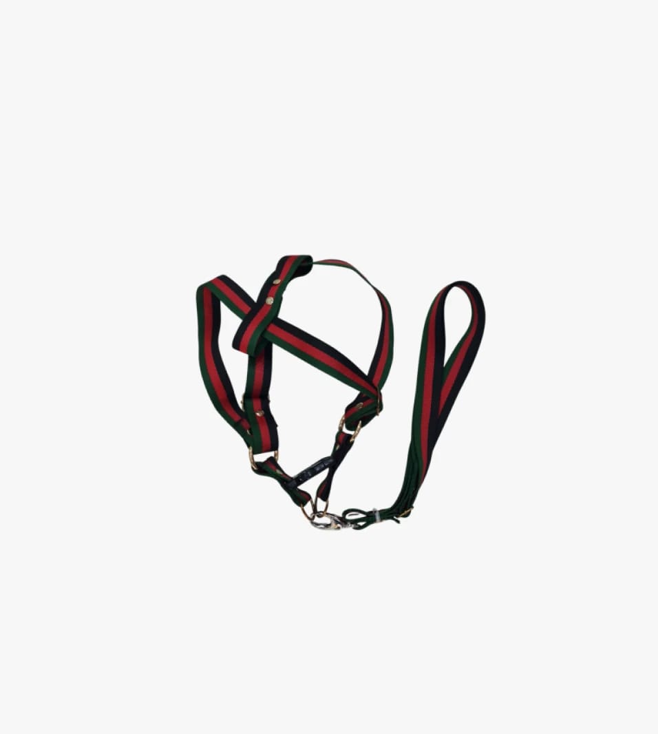 Luxury Pet Harness with Green and Red Design for Fashionable and Stylish Dog Owners with Modern Flair