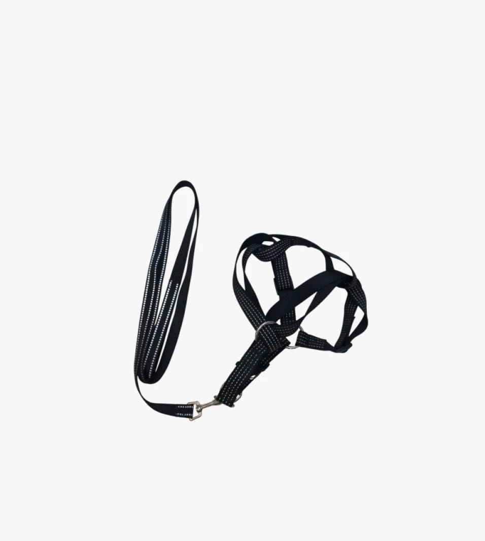 Luxury Dog Walking Harness by Belt Neoprene Brand with Padded Grip and Comfortable Rubber for All Sizes