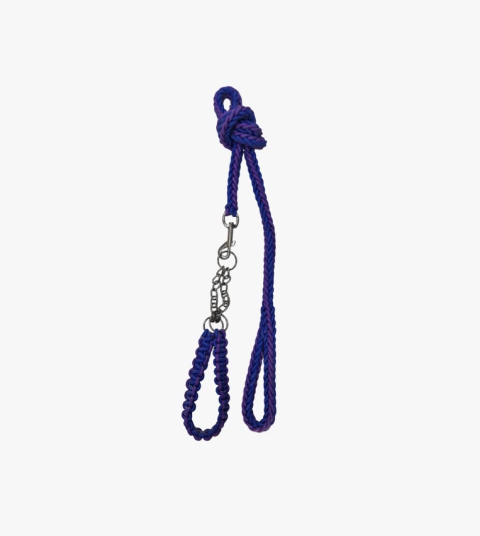 Paracord Pet Collar and Leash Modern Design Wear-Resistant with Padded Handle for Dog and Cat Training by Paracord Plus