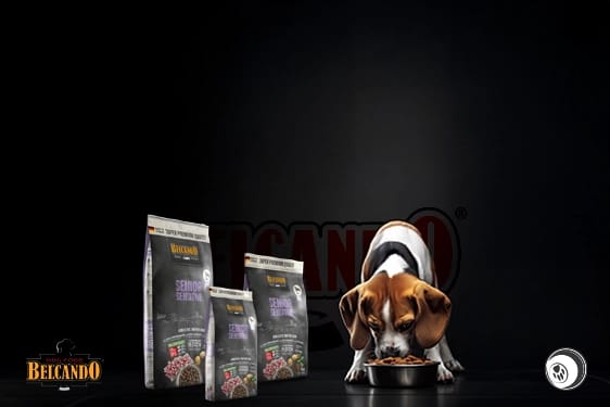 pets-supplies