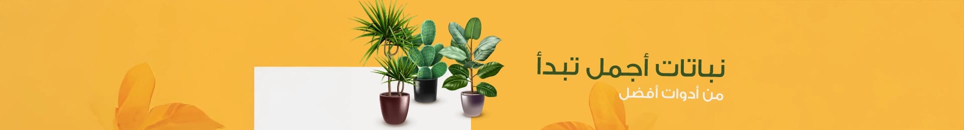plants