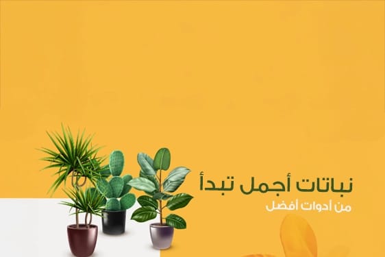 plants