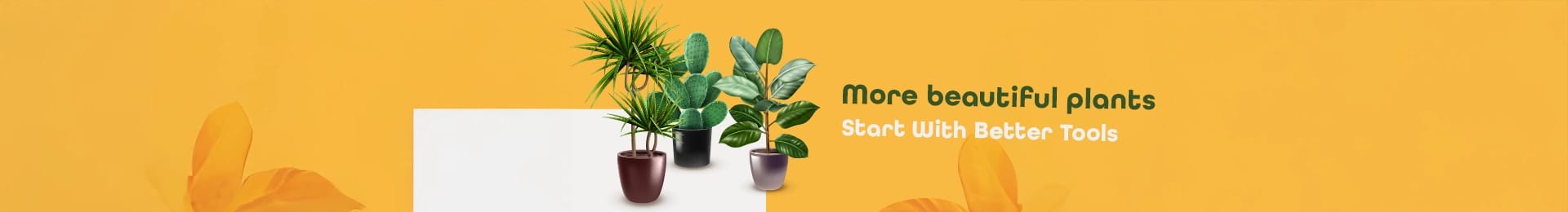 plants