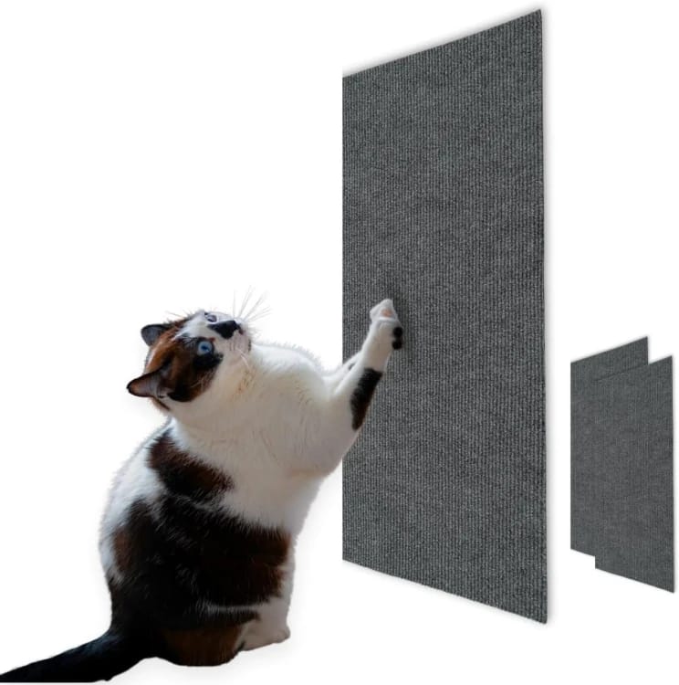 Sofa and Furniture Protector