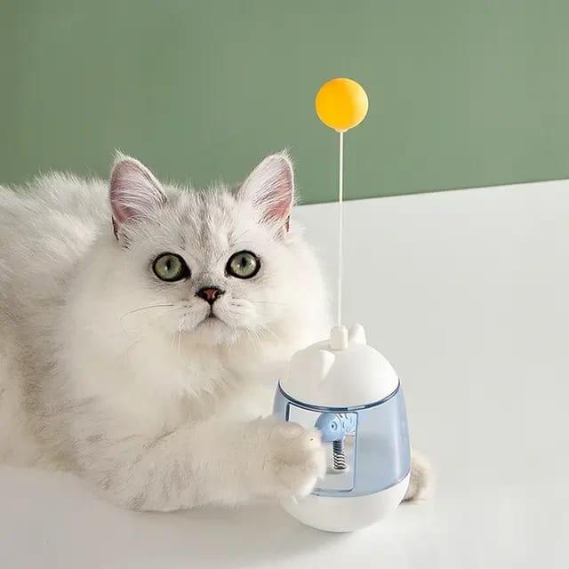 Interactive Balancing Game with a Light-Up Fish