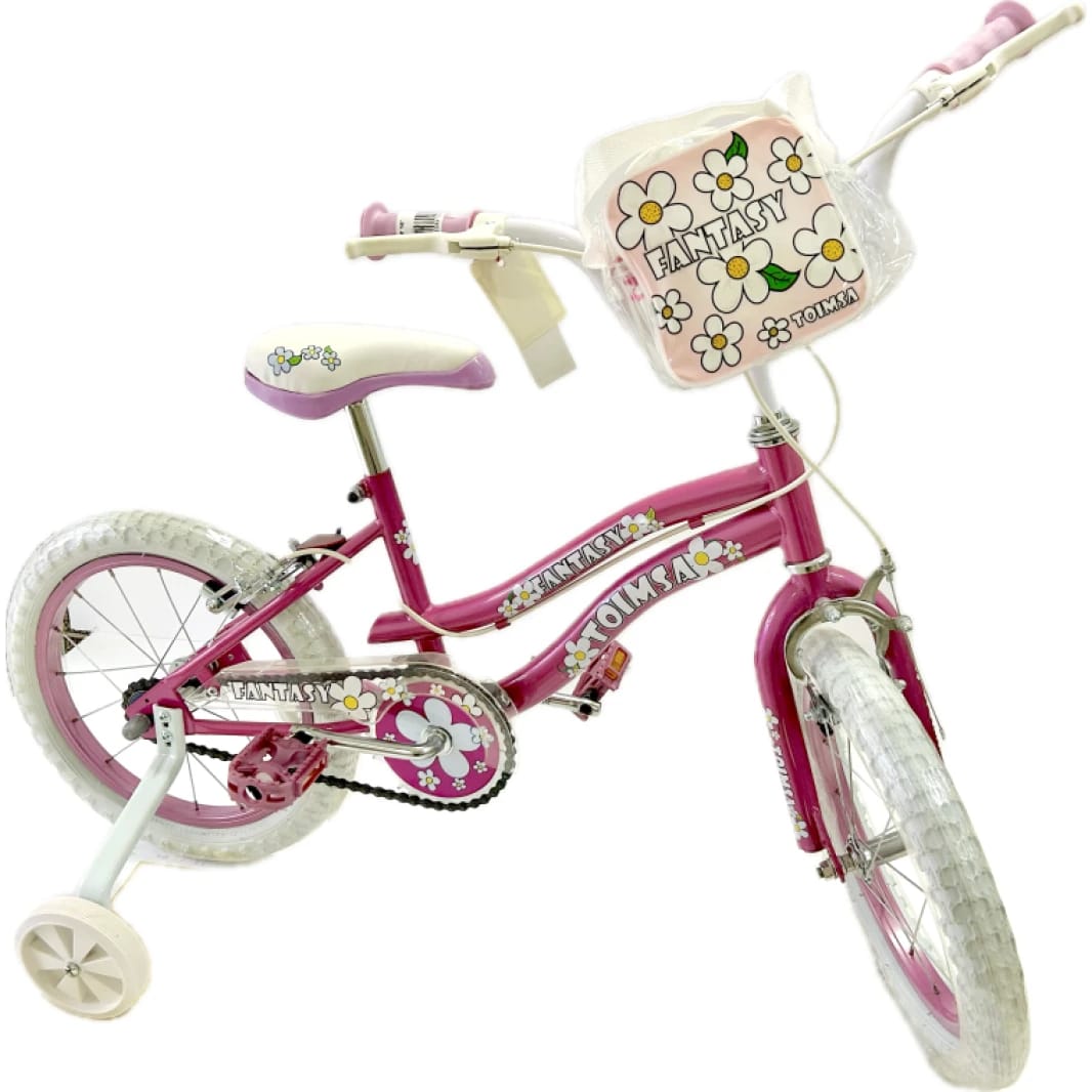 Toimsa Fantasy Daisies Pink 16" Bicycle with Zipper Pouch & Bottle