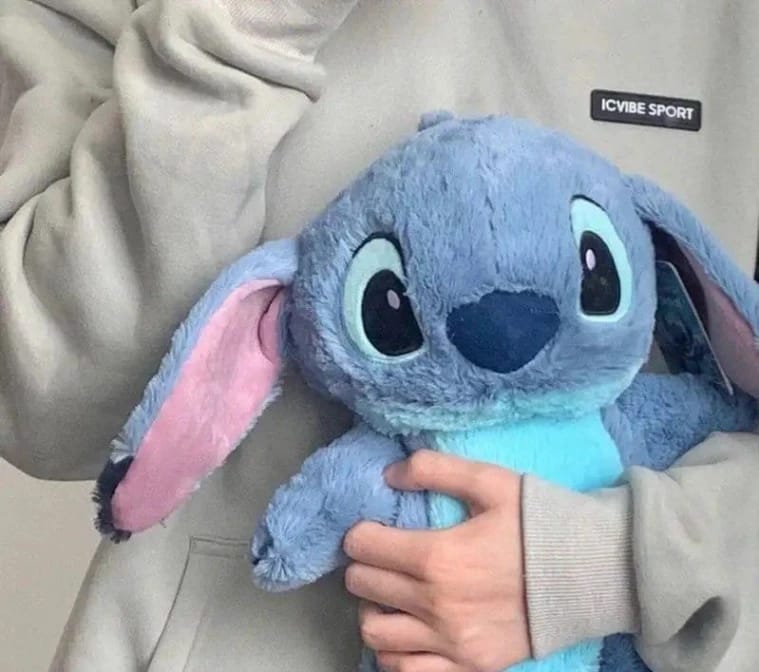 Stitch Hot Water Bag with Plush Cover