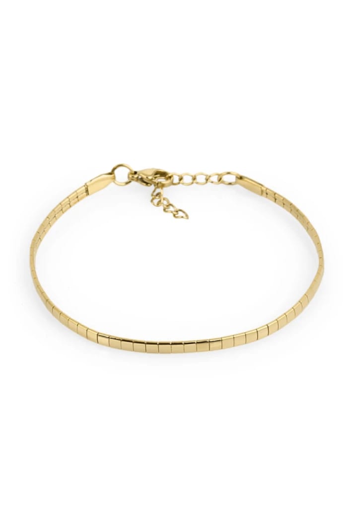 Santa Barbara Polo Women's Bracelet SBJ.2.2006-2