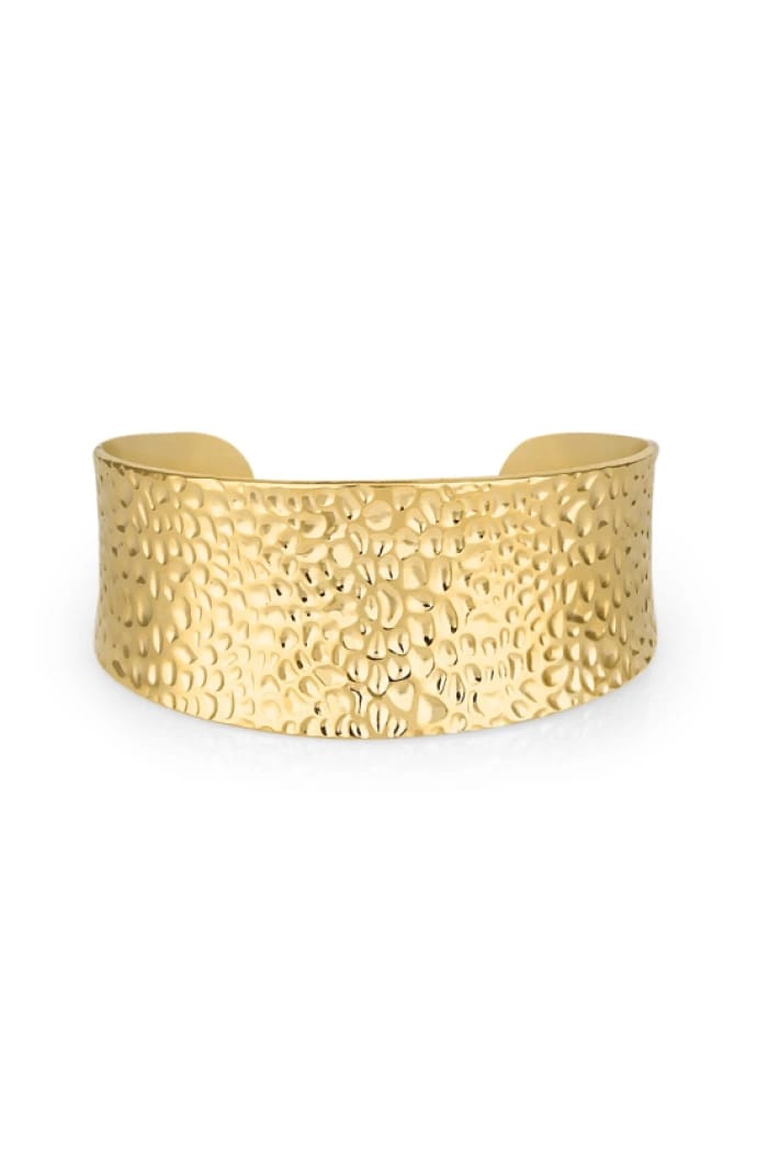 Santa Barbara Polo Women's Bracelet SBJ.2.1002-2