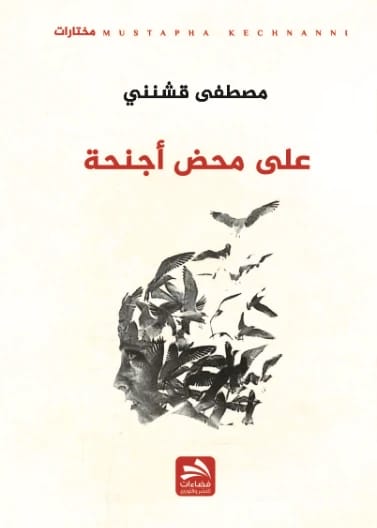 On Sheer Wings - Mustafa Qashnini