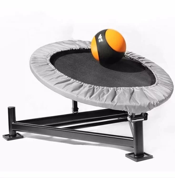 Original Medicine Ball Rebounder